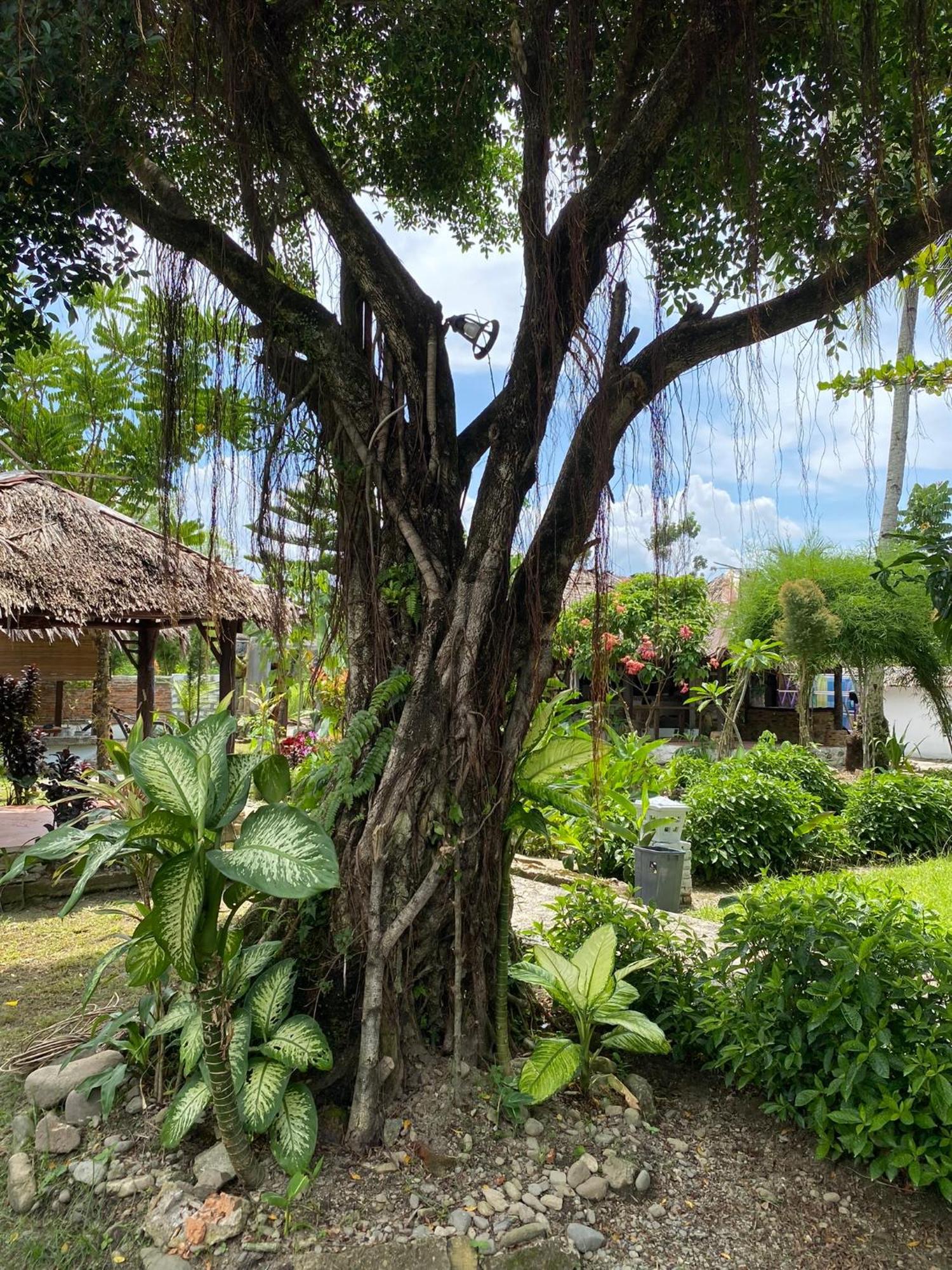 Villa Paradise ブキットラワン エクステリア 写真